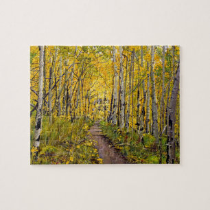 Puzzle Magnifique sentier automnal panoramique dans un bo