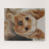 Puzzle Magnifique Yorkshire Terrier (Horizontal)