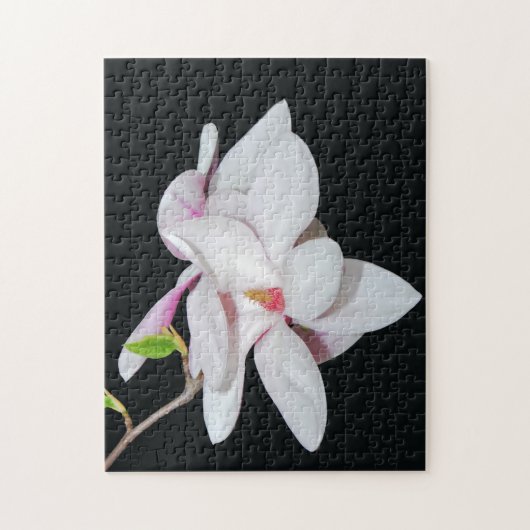 Puzzle Magnolia blanche (Vertical)