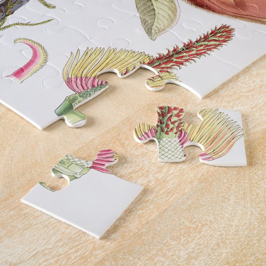 Puzzle Magnolia de Campbell (Côté)