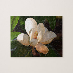 Puzzle Magnolia du sud de la Louisiane