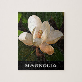 Puzzle Magnolia (le Mississippi et la Louisiane)