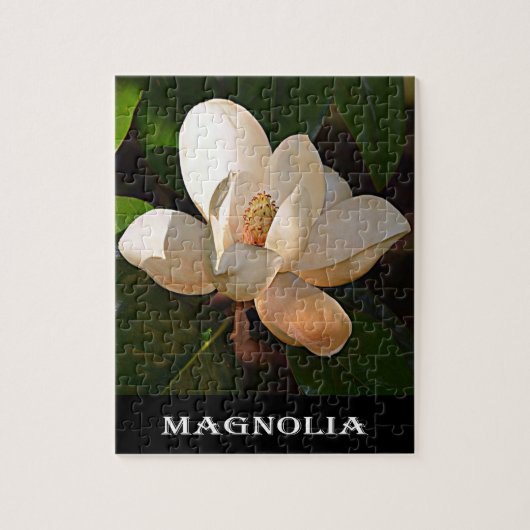 Puzzle Magnolia (le Mississippi et la Louisiane) (Vertical)