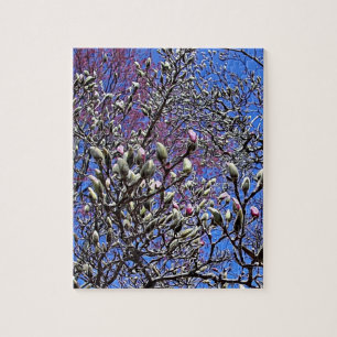 Puzzle Magnolia, Masse des Ours