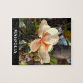 Puzzle Magnolia (Mississippi et Louisiane) (Horizontal)