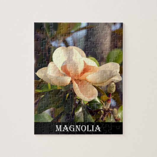 Puzzle Magnolia (Mississippi et Louisiane) (Vertical)