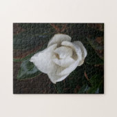 Puzzle magnolias 1 (Horizontal)