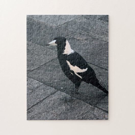Puzzle magpie (Vertical)