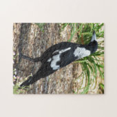 Puzzle Magpie australien (Horizontal)