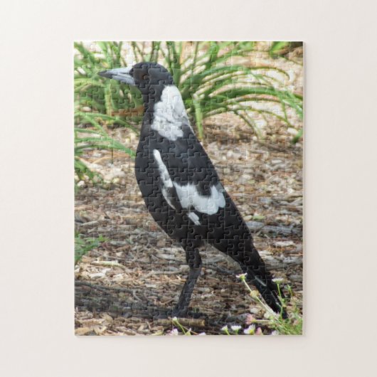 Puzzle Magpie australien (Vertical)