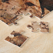 Puzzle Mahon Pool Maroubra Beach Sydney Aerial (Côté)