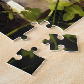 Puzzle Maine Coon assis dans le jardin (Côté)