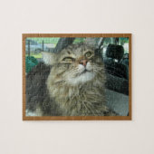 Puzzle Maine Coon kitty (Horizontal)