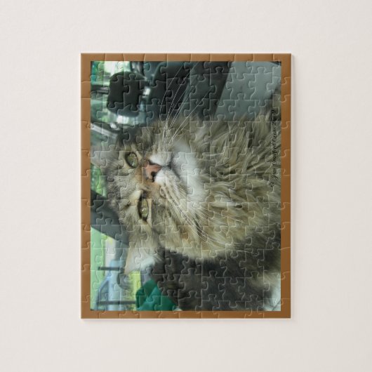 Puzzle Maine Coon kitty (Vertical)