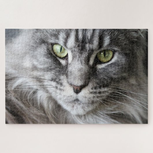 Puzzle Maine Coon Kitty Chat Mignonne animal amusant (Horizontal)