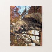 Puzzle Maine Coon Kitty Chat Mignonne animal amusant (Vertical)