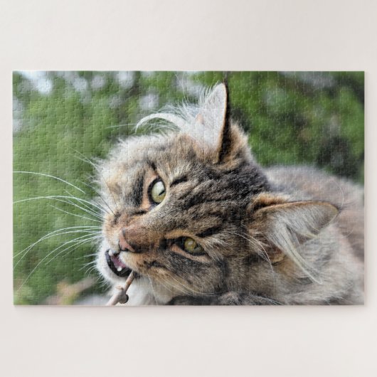 Puzzle Maine Coon Kitty Chat Mignonne animal amusant (Horizontal)