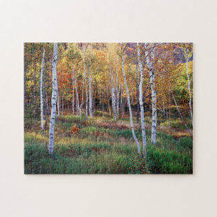Puzzle Maine, Parc national d'Acadia, Automne