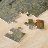 Puzzle Maine Pine Boulders Acadia Photo (Côté)