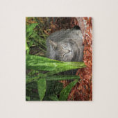 Puzzle Mais je dors mon chat (Vertical)