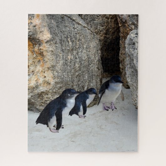 Puzzle Maison de plage des manchots, (Vertical)