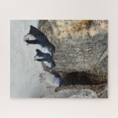 Puzzle Maison de plage des manchots, (Horizontal)