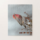 Puzzle Maison Finch en Neige - Photo originale (Vertical)