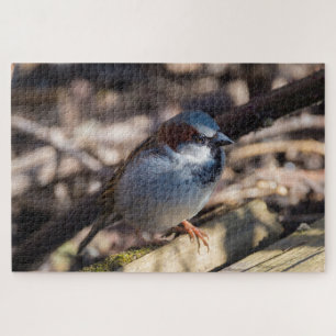 Puzzle Maison Sparrow