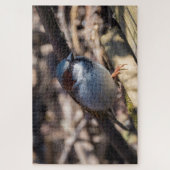 Puzzle Maison Sparrow (Vertical)