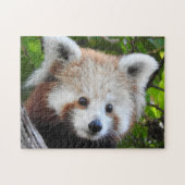 Puzzle Maiya le panda rouge (Horizontal)