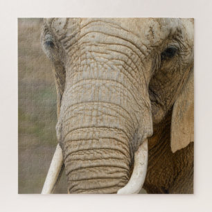Puzzle Majestic Elephant Gros plan Les géants de la natur