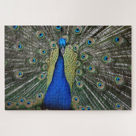 Puzzle Majestic Peacock (Horizontal)