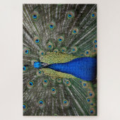 Puzzle Majestic Peacock (Vertical)