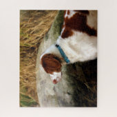 Puzzle Majestic Stance : Cuivre l'espagnol breton (Vertical)