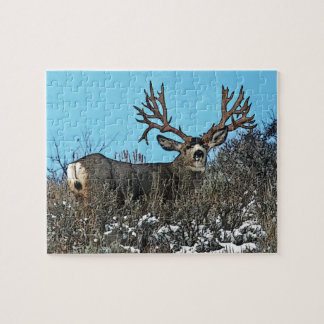 Puzzle Mâle de cerfs communs de mule de monstre