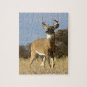 Puzzle Mâle de Whitetail d'automne (Vertical)