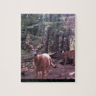 Puzzle Mâle de Whitetail en velours