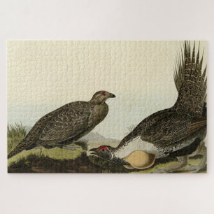 Puzzle (Male Fowl) des Plaines Audubon Birds of America