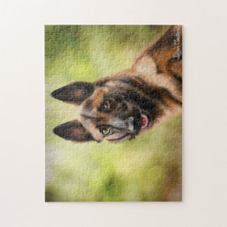 Puzzle Malinois Legpuzzel