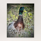 Puzzle Mallard (Vertical)
