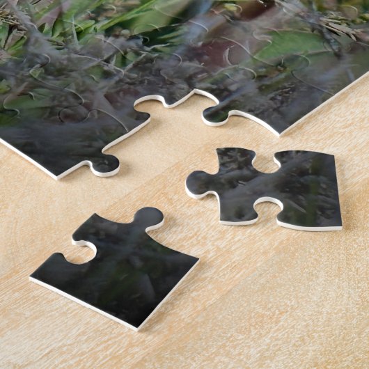 Puzzle Mallard (Côté)