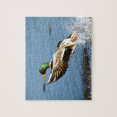 Puzzle Mallard Drake (Vertical)