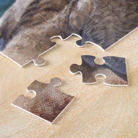 Puzzle Mallard Duck (Côté)