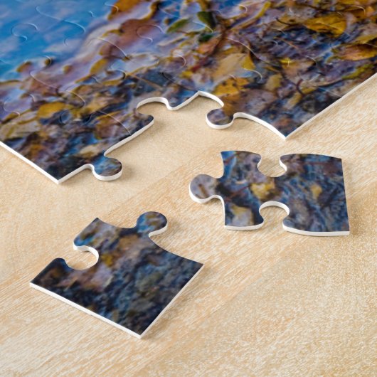 Puzzle Mallard Duck (Côté)