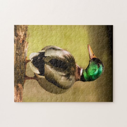 Puzzle Mallard Duck (Horizontal)