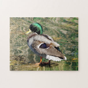 Puzzle Mallard Duck
