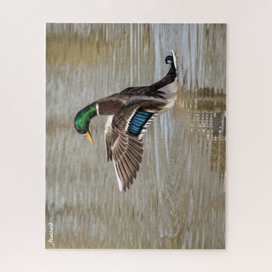 Puzzle Mallard Duck (Vertical)
