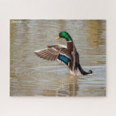 Puzzle Mallard Duck (Horizontal)