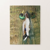 Puzzle Mallard Duck (Vertical)