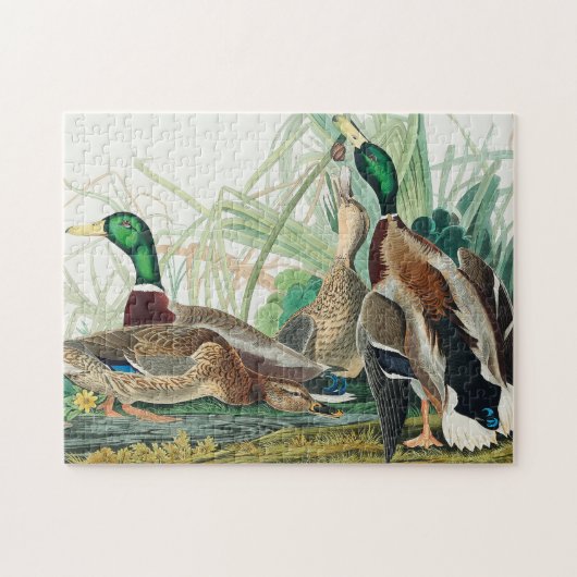 Puzzle Mallard Duck from Birds of America (Audubon) (Horizontal)